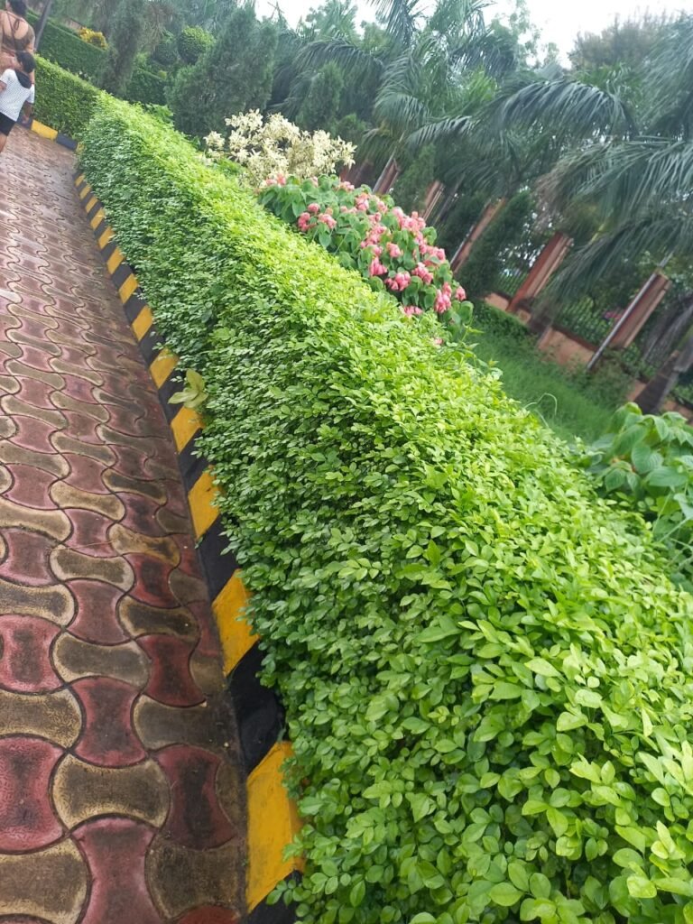 1000000330