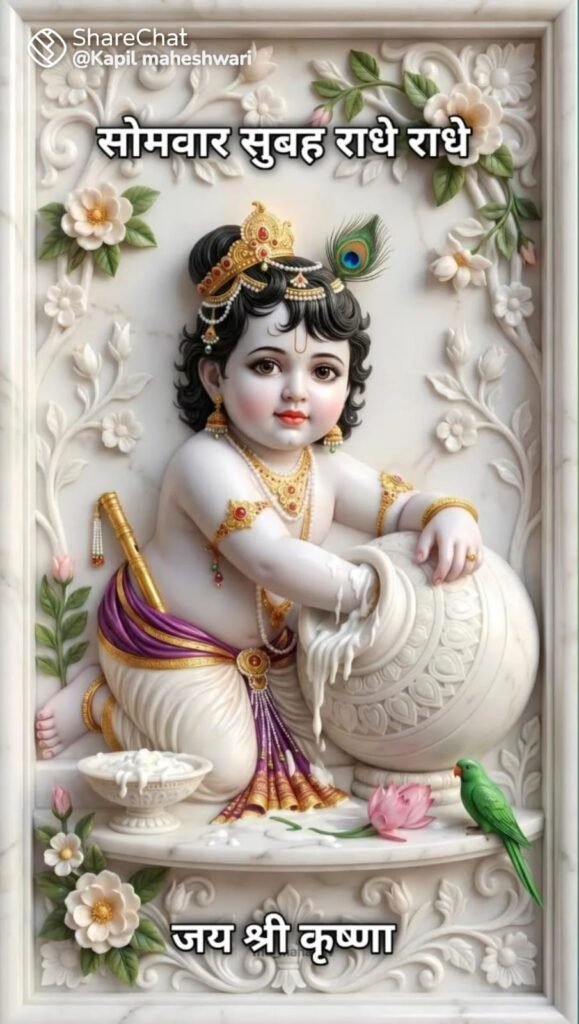 Mrinaliny 1000557302
