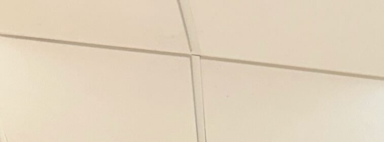 shayenakashyap